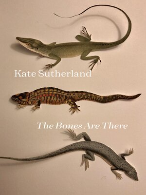 cover image of The Bones are There